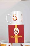YENİ SEZON TEKLİ LİSANSLI GALATASARAY KUPA 