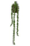 Yapay Çiçek Kütük Saksıda Sarkan String 3 Dallı 55cm Sarkan Çiçek
