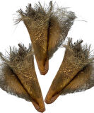 5 ADET  Kurutulmuş Palmiye Ağacı Kabuğu Lifi Natural Ağaç Gövdesi Kokos