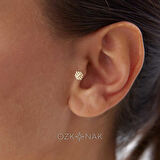 Çizgi Detaylı Tragus Piercing