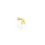 A Harfi Tragus Piercing