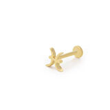 Balık Burç Tragus Piercing