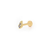 Özel Tasarım Model Tragus Piercing