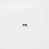 Fil Tragus
