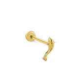 Small Balık Tragus