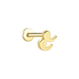 Denden Tragus Piercing