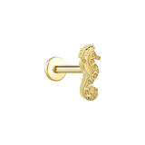 Deniz Atı Tragus Piercing