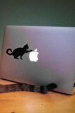 Kedi Stickerı Laptop Etiketi Laptop Üzerine Kedi Sticker