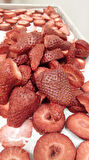 SagaFresh Dondurularak Kurutulmuş Çilek Dilimleri 1000g