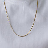 Balık Sırtı Erkek Zincir