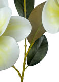 Yapay Çiçek Krem Manolya Islak Doku 3 Kafalı Uzun Dal Çiçek Flowers 80cm