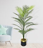 Yapay Ağaç Areka Ağacı Gold Halkalı Siyah Lüx Saksılı Palmiye Ağacı Salon Bitkisi 130 cm 20 Yaprak