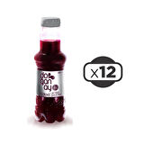 Doğanay Gurme Şalgam Suyu Acısız 300 ml x 12 Adet