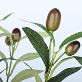 Yapay Zeytin Ağacı Saksıda 40cm 5 Dallı 10 Meyveli Yapay Çiçek Artificial Olive