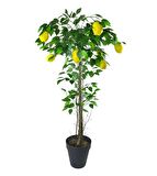 Yapay Limon Ağacı 130cm 8 Limonlu Doğal Görünümlü Siyah Plastik Saksılı Yapay Ağaç