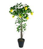 Yapay Limon Ağacı 130cm 8 Limonlu Doğal Görünümlü Siyah Plastik Saksılı Yapay Ağaç