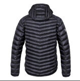 Arden Erkek Mont asphalt stripe