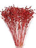 Kuru Çiçek Doğal Luna Otu Kırmızı Renk 40-50gram 1. Kalite Linum Keten Otu Şoklanmış Bozulmaz