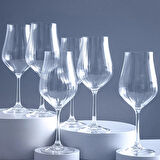 Jumbo Tulipa 6'lı Kadeh Takımı 350 ml