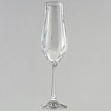 Jumbo Tulipa Şampanya Kadeh Takımı