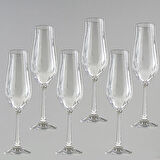 Jumbo Tulipa Şampanya Kadeh Takımı