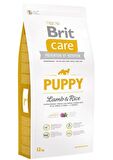 Brit Care Kuzu Etli-Pirinçli Küçük Irk Yavru Kuru Köpek Maması 3 kg