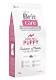 Brit Care Maxi Somonlu Büyük Irk Yavru Kuru Köpek Maması 12 kg
