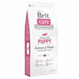 Brit Care Patatesli-Somonlu Orta Irk Yavru Kuru Köpek Maması 3 kg