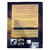 Karanlıklar Şehri - Carrie Ryan - Pegasus Yayınları