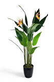 Yapay Ağaç Starliçe 160cm Horoz İbiği Çiçekli Bird of Paradise Artificial Plants
