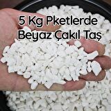 5 KgBeyaz Çakıl Taş Teraryum Süsü Fanus Çakıl Taşı Dekoratif Akvaryum Taşı1-2 cm çaplı