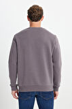 Erkek Koyu Gri Standart Fit Normal Kesim Içi Polarlı 3 Iplik Bisiklet Yaka Sweatshirt