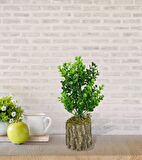 Yapay Çiçek Doğal Kütük Odun Saksıda Jumbo Şimşir Okaliptus Masa Çiçeği