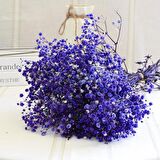 Kuru Çiçek Doğal MOR Cipso 50gram 1. Kalite Şoklanmış Bozulmaz