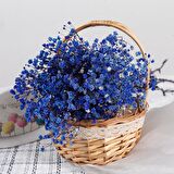 Kuru Çiçek Doğal MOR Cipso 50gram 1. Kalite Şoklanmış Bozulmaz