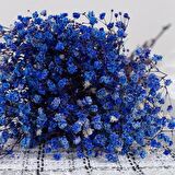 Kuru Çiçek Doğal MOR Cipso 50gram 1. Kalite Şoklanmış Bozulmaz