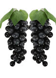 2li Set Yapay Meyve Siyah Üzüm Süs Dekoratif Sahte Meyve 15CM