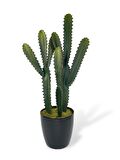 Yapay Çiçek Kaktüs Ağacı 3Köşeli 3Boy Siyah Saksıda 70*30cm sk4020
