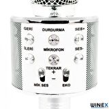 Global UsbA+TF Sd Kart+3.5mm Aux Girişli Bluetooth Karaoke Mikrofonu Gümüş WNE0146