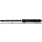 Shimano Bassterra Spin Sea Bass 2,89m 9'6'' 15-60g 2pc Shore Jig Kamışı