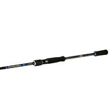 Shimano Bassterra Spin Sea Bass 2,89m 9'6'' 15-60g 2pc Shore Jig Kamışı