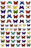 Sticker Kabartmalı A4 Boyutunda Stiker Defter, Planlayıcı Etiket-(lim542) - Renkli Kelebek