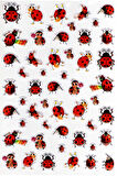 Sticker Kabartmalı A4 Boyutunda Stiker Defter, Planlayıcı Etiket-(lim544) - Uğur Böceği Ladybug