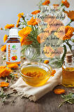 Aynısefa Yağı (CALENDULA OFFİCİNALİS), 30 Ml, Maserasyon, Aynı Sefa Yağı, Kalendula, Bakım Yağı