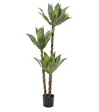 Yapay Ağaç Agave Ağacı 3Gövdeli 160 cm Premium Kalite