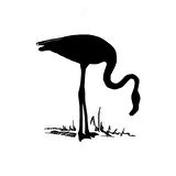 Arasında Balık Arayan Flamingo Kuşu Sticker 15cm