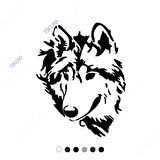 Kurt  Araba Sticker Yapıştırması  17cm