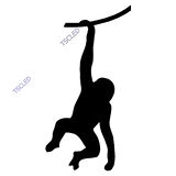 Maymun Monkey Sticker Yapıştırma 17cm