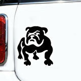 Sevimli Fransız Bulldog Köpek Sticker Yapıştırma 2