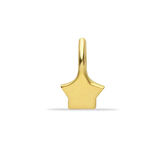 Type 4 Yıldız Charm